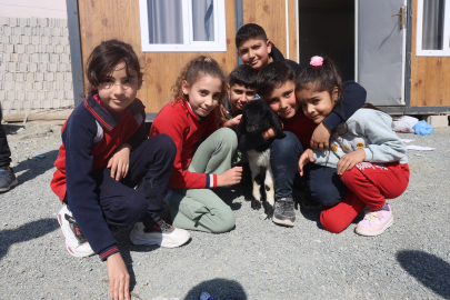 Annesi telef olan 'Boncuk' kuzu ilgi odağı oldu