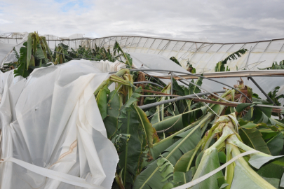 Silifke'de  şiddetli rüzgar ve dolu nedeniyle 150 dönüm sera zarar gördü
