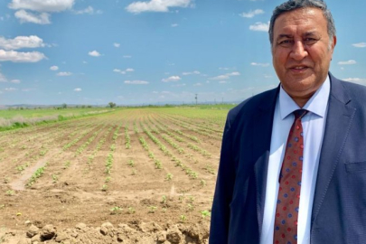 Gürer: Tarımsal sulamada elektrik maliyetleri çiftçiyi zorluyor