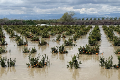 Tarsus’ta 8 bin dönüm tarım arazisi tekrar sular altında kaldı