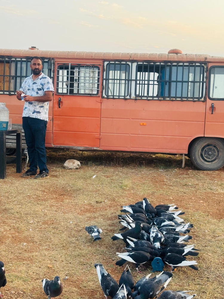 700 lira alacağını isterken hapislik oldu IBAN'ını veren yandı 3