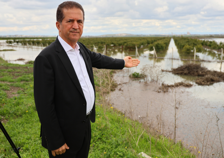Adana'da sağanak yağış tarım arazilerini vurdu Ekili alanlar sular altında kaldı 2