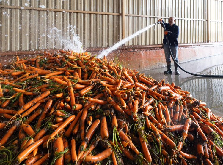 İÇ PAZARA YÖNELİK SEVKİYATLAR SÜRÜYOR