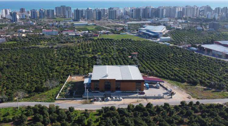 Mersin'in yayla balı teknolojiyle dünyaya açılıyor 2