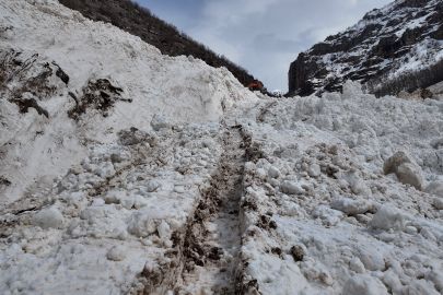 Şırnak'a son dönemlerin en büyük çığı düştü