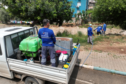 Adana’da sinek ve haşerelere karşı yoğun mücadele