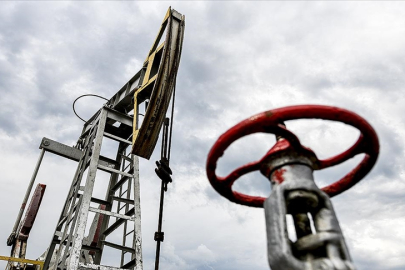 Rusya’nın enerji tedariğinde önceliği komşularına