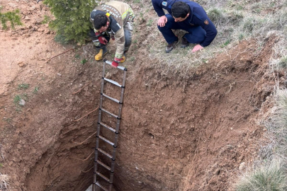 Ankara’da kaçak kazı çukuruna düşen köpek kurtarıldı