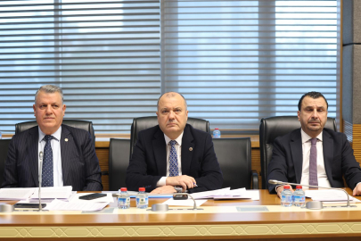 Barut: Tarım alanları ve doğa talan edilmemeli