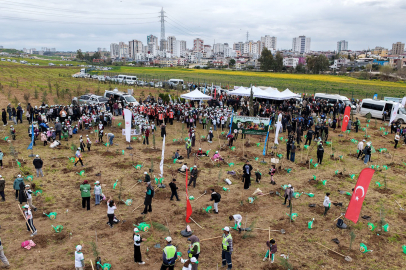 Doğa sevgisi zirve yaptı, binlerce fidan toprakla buluştu
