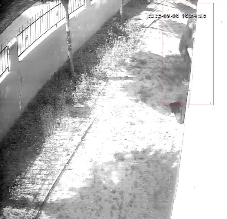 Adana'da balkondan tırmanarak hırsızlık yapan şüpheli tutuklandı 2