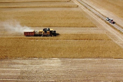 Çiftçilere 8,7 milyar lira tarımsal destekleme ödemesi bugün yapılacak