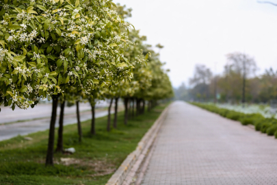 Adana’da herkes aynı şeyi konuşuyor: Şehri saran o koku!