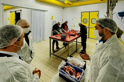 Et ve et ürünlerinde denetimler hız kesmiyor