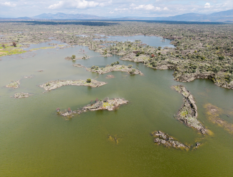 EKOSİSTEMDEKİ CANLI POPÜLASYONU OLUMLU ETKİLENİYOR