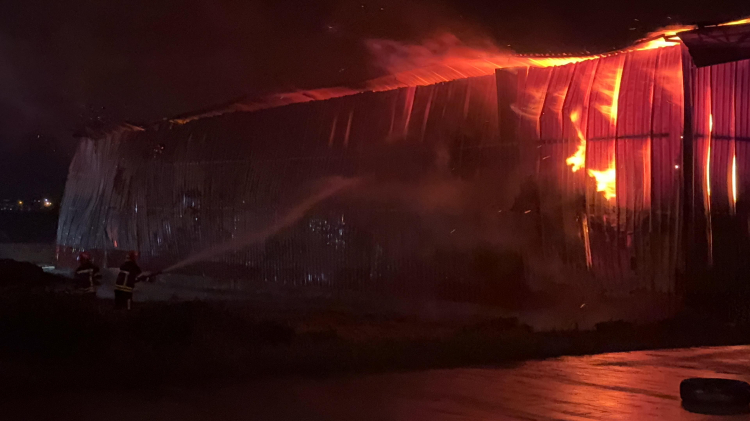 Osmaniye'de karton fabrikasına yıldırım düştü Alevler üretim tesisini sardı 2
