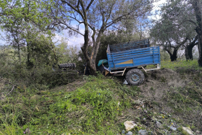 Hatay'da zeytin bahçesine uçan patpatın sürücüsü öldü