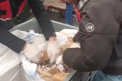 Online zehir ticareti çökertildi: 99 şüpheli cezaevinde