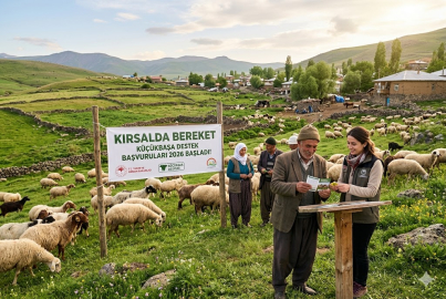Kırsalda bereket küçükbaşa destek başvuruları 2026 ne zaman başlıyor? 2 yıl geri ödemesiz kredi ve 180 bin TL destek nasıl alınır?