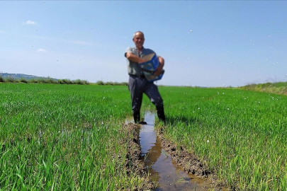 Gübre sektörü, karışımlı gübrelerdeki gümrük vergilerinin sıfırlanmasından memnun