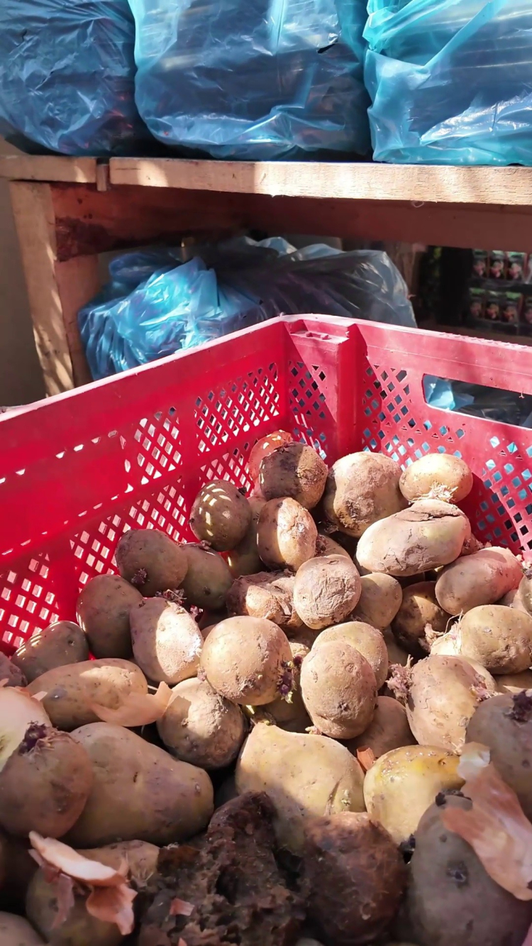 Hatay'da yemek üretim firmasına yönelik hijyen denetiminde, üzerinde sinekler uçuşan çürümüş patatesler ve kararmış tencereler zabıta ekiplerini hayrete düşürdü 2