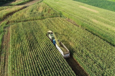 İşletmelerin kırsal kalkınma projelerine hibe desteği