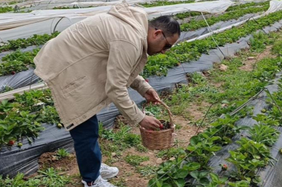 Hasadı çiftçi değil, vatandaş yaptı