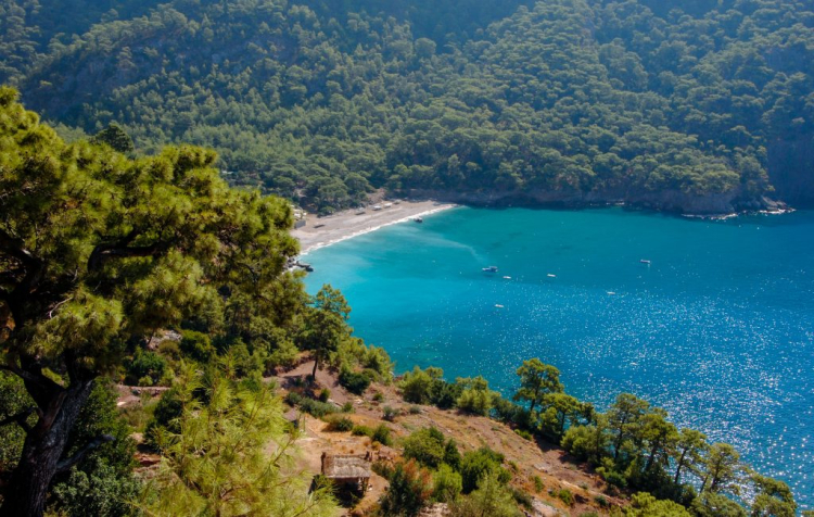 muğla