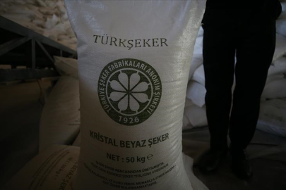 Türkşeker 525 geçici işçi alımı başladı! başvuru şartları ve kadro dağılımı açıklandı