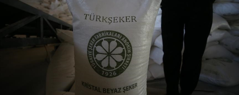 Türkşeker 525 geçici işçi alımı başladı! başvuru şartları ve kadro dağılımı açıklandı