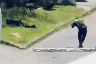 Adana nüfusuna kayıtlı terörist 10 yıl önce Darıca’ya taşındı