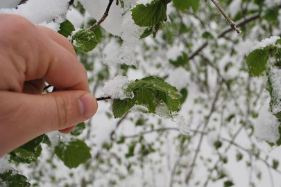 Meteoroloji uyardı: Kuzey kesimlerde zirai don, birçok ilde yağış bekleniyor