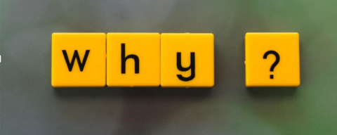 8 NİSAN NE GÜNÜ? DÜNYA ROMANLAR GÜNÜ NEDİR, NEDEN KUTLANIR?