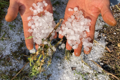Mersin’de misket büyüklüğünde dolu etkili oldu
