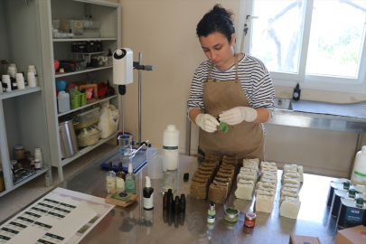 Yazılım firmasındaki işini bırakarak memleketine dönen kadın, aromatik bitkiler üretiyor