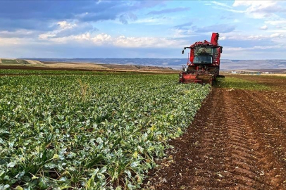 Bakan Yumaklı duyurdu: 19,5 milyar liralık tarımsal destek çiftçilerin hesaplarına aktarılıyor