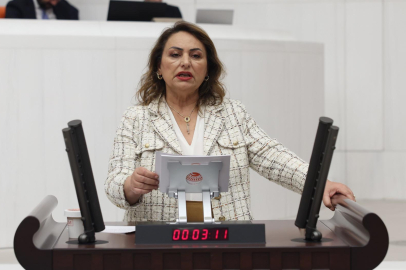 Dr. Şevkin: 6284 Etkin uygulanmalı, İstanbul Sözleşmesi yeniden hayata geçmelidir