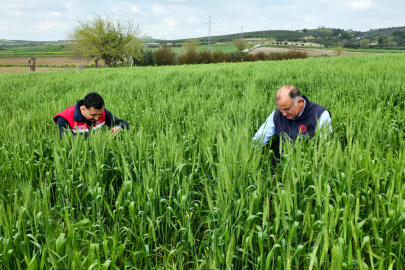 Üreticiye sahada destek: Yeni tarım modeli anlatılıyor