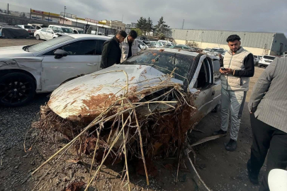 Şanlıurfa'da kontrolden çıkarak devrilen otomobilin sürücüsü öldü