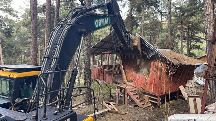 Osmaniye'de orman arazisine inşa edilen 31 kaçak yapı yıkıldı 3