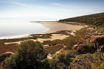 Ekolojik koridorlar kritik rolde: Gediz Deltası için ortak çalışma sürüyor