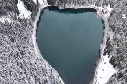 Karagöl Sahara Milli Parkı kar yağışıyla beyaza büründü