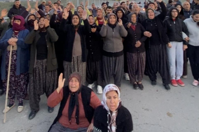 Mersin'de ormanlık alana ekili narenciye bahçelerinin kaldırılması kararına tepki