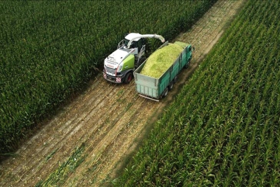 Tarım üretici fiyatlarında sert yükseliş: Yıllık artış %36,09 t