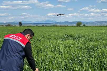 Yoğun yağışların tarımsal etkileri dron destekli çalışmalarla tespit ediliyor