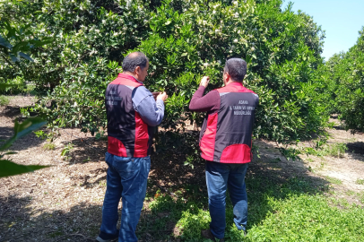 Adana’da üreticilere doğa dostu tarım anlatılıyor