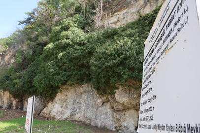 Aladağ’da 4 bin yıllık tabiat anıtı baharla birlikte ilgi odağı oldu