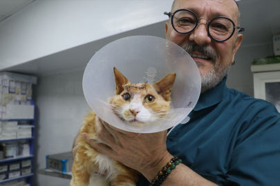 Adana'da Veteriner kafası delik kediyi hayata tutundurdu