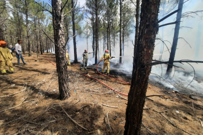 Mersin'in Mut ilçesinde orman yangınlarına karşı hazırlık tatbikatı düzenlendi