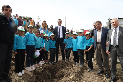 Yangının kül ettiği orman dikilen fidanlarla yeniden yeşerecek